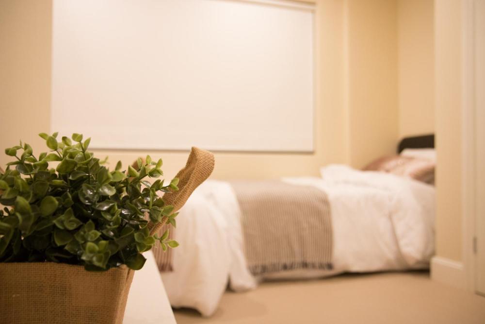 T&M House Hotell Strathfield Eksteriør bilde
